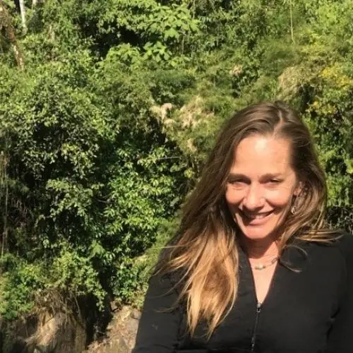 immerlachtx3 image 0